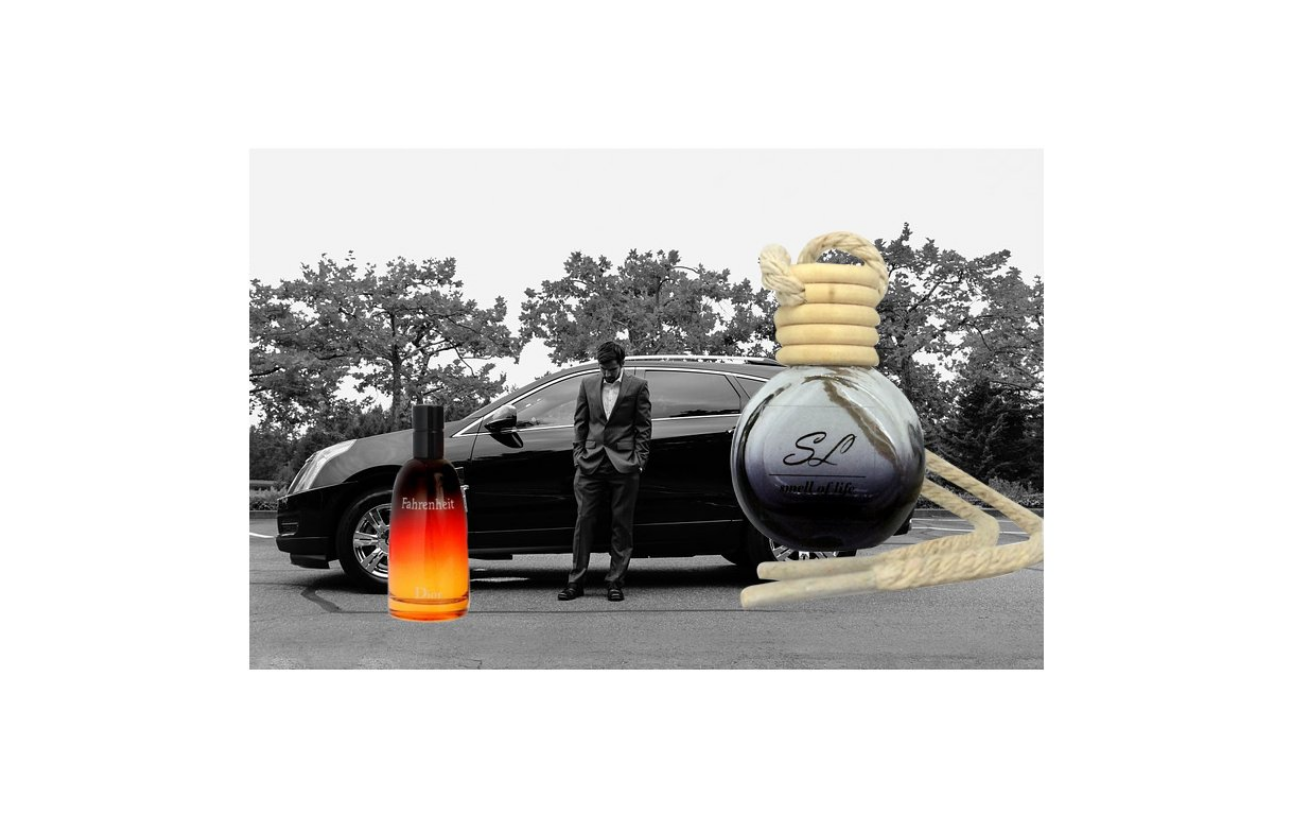 Smell of Life - inspirováno mužským parfémem Fahrenheit (10 ml)